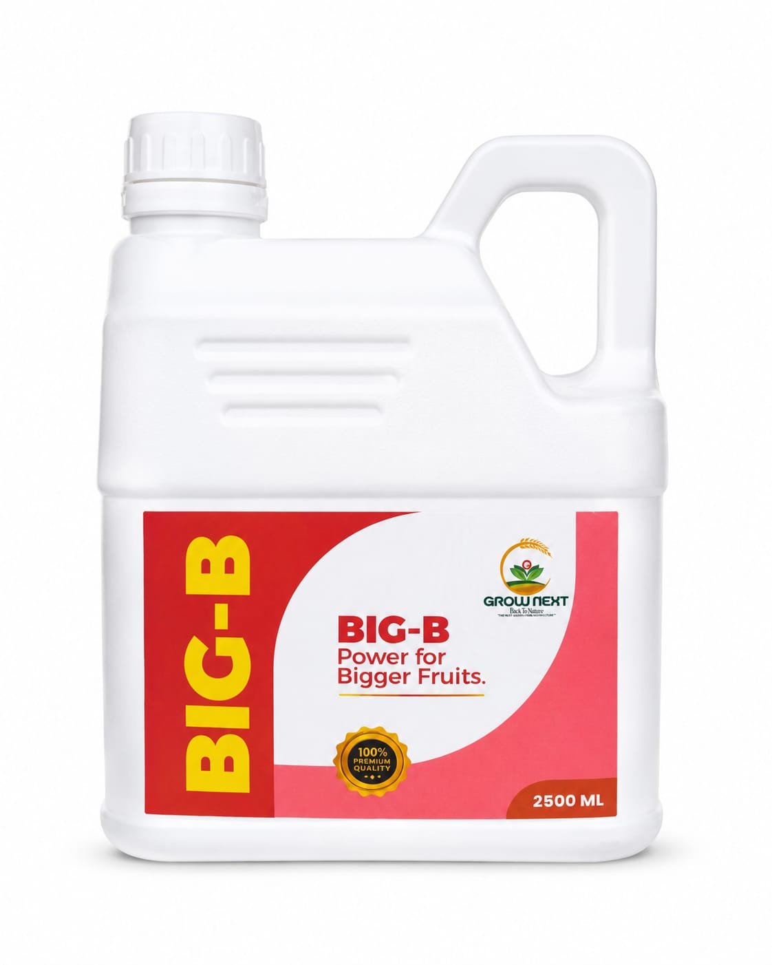 Big B